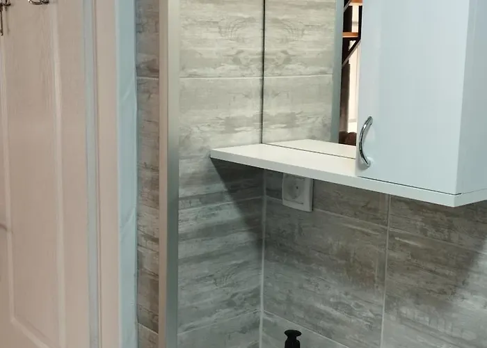 Vagabundo * Rogacica